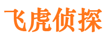 通河出轨调查